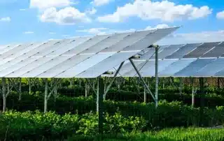 agrosunčane elektrane u hrvatskoj