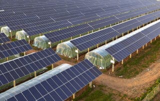 Poluprozirne solarne ploče na staklenicima