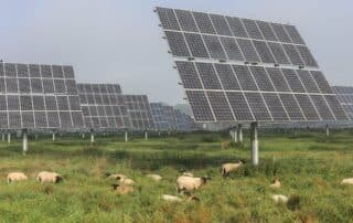 Potencijal agrosolarstva